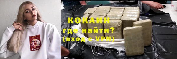 дмт Пестово