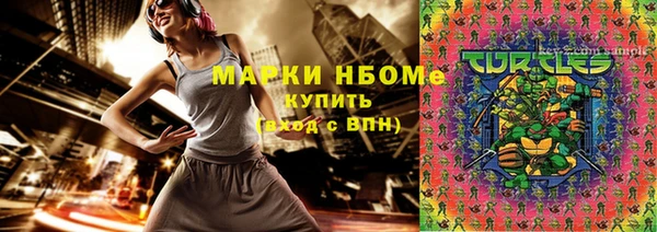дмт Пестово