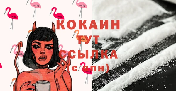 дмт Пестово